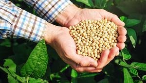 乡村振新|品牌馆